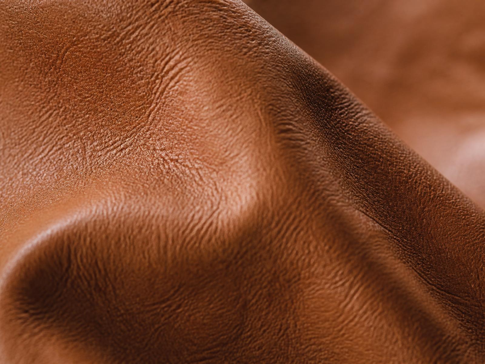 Close study of leather grain in soft daylight